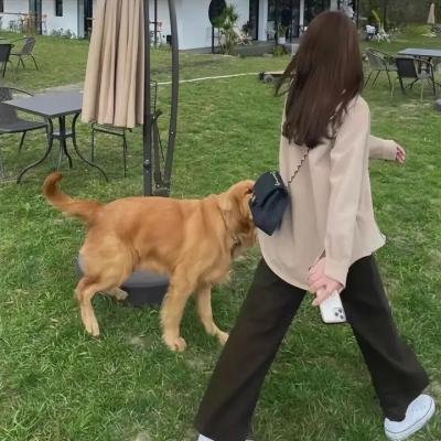 熊猫大侠
